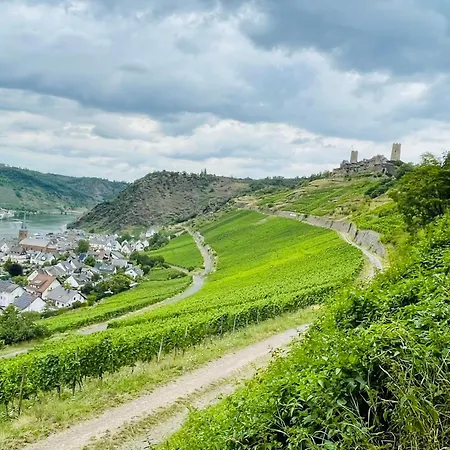 Landzeit - Zwischen Rhein Und Mosel Apartment Ney