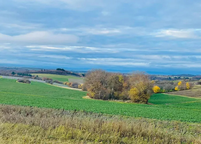 Landzeit - Zwischen Rhein Und Mosel Ney